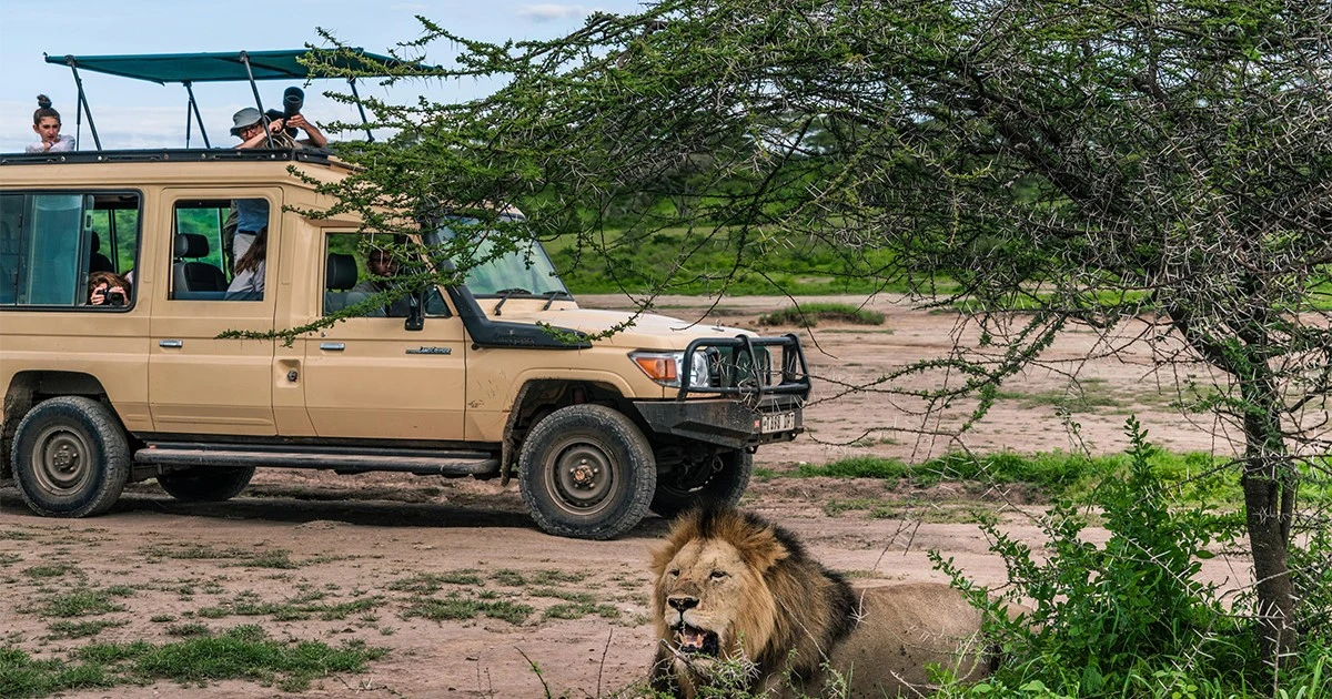 Go kenya safari